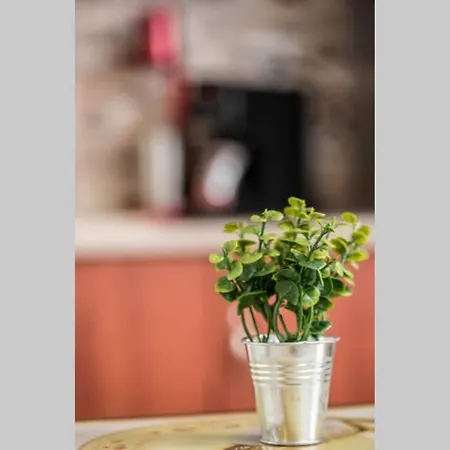 Friendly Flat 2 Appartement *
